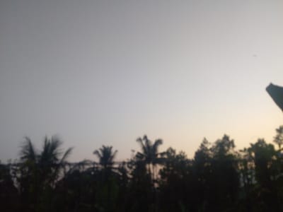 The image depicts a hazy, out-of-focus scene of the sky above a silhouetted treeline, characteristic of a tropical environment. The sky transitions from a light gray at the top to a pale yellow or orange hue near the horizon. A faint, dark, blurred object, possibly a distant airplane or bird, is visible in the upper right portion of the sky. The treeline below is dense and dark, obscuring any details of the ground or specific types of vegetation. The overall impression is one of early morning or late evening light, given the soft illumination and the silhouette effect. Without specific landmarks or identifiable objects, pinpointing the exact location within Cisarua, Indonesia, from this image alone is not possible. The image appears to have been taken from a stationary viewpoint, looking upwards and outwards. There are no discernible people, animals, or specific structures visible.