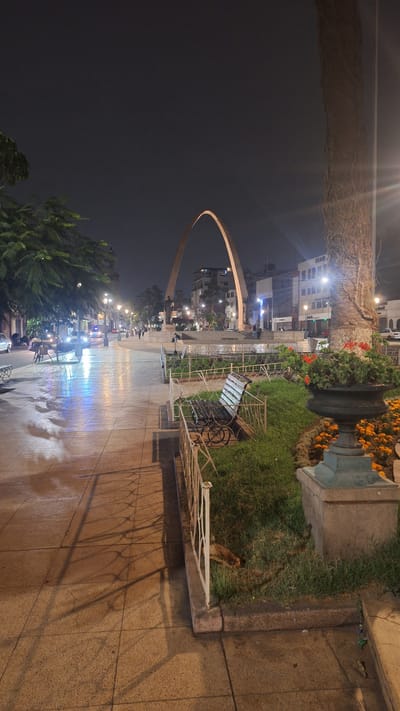 At night in Tacna, Peru, an archway monument stands prominently in the background, illuminated against a dark sky. In the foreground, a tree trunk with visible root systems dominates the right side of the frame, with a brightly lit street and sidewalk extending into the distance on the left. A park area with green grass and a bench is visible, bordered by a decorative metal fence. Red and orange flowers add color to the scene, planted in a large urn. A dog is resting on the grass within the fenced area. The sidewalk is wet and reflects the lights from the streetlamps. Several people are walking or sitting in the background, and vehicles are visible on the street. Buildings line the far side of the street, also illuminated by lights.
