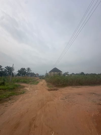 This image depicts an unpaved, reddish-brown dirt road splitting into a fork, set under an overcast, light gray sky in Nnewi, Nigeria. The main path extends into the distance, flanked by vegetation. To the left, a cluster of palm trees stands behind a wooden utility pole. To the right, a field of green-leafed plants, possibly cassava, occupies the foreground. In the midground, a multi-story building under construction with a dark, conical roof is visible, along with other residential structures further in the distance. Multiple parallel power lines stretch diagonally across the upper right quadrant of the frame. No individuals or specific actions are discernible. The scene suggests a developing rural or semi-urban area.