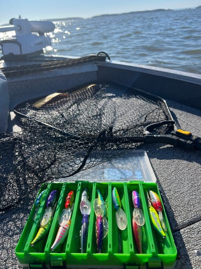 A fishing boat is on the water under a bright sky. In the foreground, a green tackle box holds various colorful fishing lures. Behind the tackle box is a black fishing net. Further back, a white electric motor with the brand "HAIBO" is visible on the boat. The water is choppy, and the sun reflects off its surface. The scene is set on a body of water, likely a lake or river, with a distant shoreline visible.