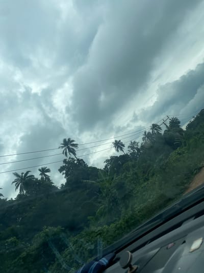 This is a photograph taken from inside a vehicle, looking out through the windshield at a tropical landscape under a cloudy sky. The scene is dominated by lush green vegetation, including several palm trees that are silhouetted against the sky. Power lines are visible running horizontally across the frame, supported by poles that are integrated into the densely forested hillside. The terrain appears to be hilly or mountainous, with the vegetation covering the slopes. The foreground of the image shows the interior of the car, with the dashboard and part of the windshield visible, including some reflections. The overall impression is of a rural, tropical environment, possibly on the outskirts of Iyah Gbede, Nigeria, during overcast weather.
