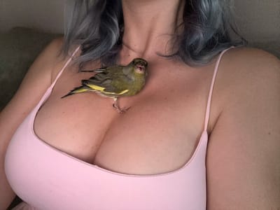 This media file shows a close-up, overhead view of a person lying down with a small, green and yellow bird resting on their chest. The person is wearing a light pink, scoop-neck garment, likely a leotard or swimsuit. Their hair, which appears to be dyed a blue-grey color, frames their face and shoulders. The bird is positioned centrally on the person's décolletage, with its head facing downwards. The skin tone of the person is fair, with some visible pores and subtle markings. The background is a muted, neutral tone, possibly a sofa or bed. The lighting is soft, suggesting an indoor setting, and there is no indication of the time of day or weather conditions. The overall mood is calm and still, with the focus on the interaction between the person and the bird. No text is visible in the image. The location context provided is Gijón/Xixón, Spain, but there are no specific visual cues within the image to confirm this location.