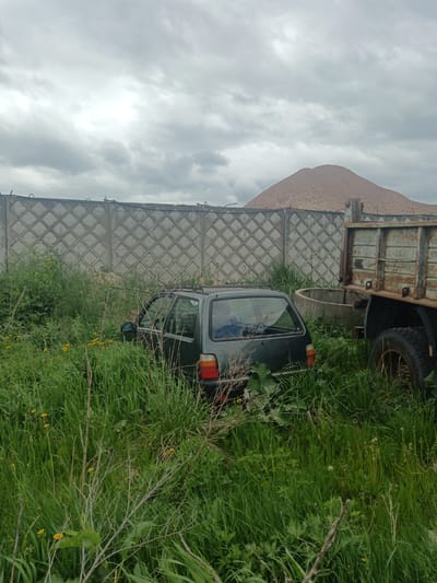 The image shows an overgrown scene in what appears to be Яльгелево, Russia. A small, dark-colored hatchback car is partially obscured by tall green grass and weeds. The vehicle is parked near the back of a rusty truck with a weathered, metal bed. Behind the truck and car, a concrete wall with a diamond pattern runs along the background. Beyond the wall, a large pile of earth or gravel rises. The sky is overcast with gray clouds. There are no visible people. The overall environment suggests neglect and disuse.