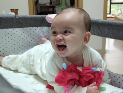 A baby lies on its stomach in a crib. The baby has fair skin, brown hair, and is wearing a white onesie. The baby is laughing, with its mouth open and eyes looking to the left. A red plush toy is in front of the baby. The crib has grey sides with white fabric patterned with black dots on the inside. The crib's mattress has a subtle pattern of animals and plants in light blue and tan. The location appears to be indoors. There is no indication of the city of Shunde District, China.