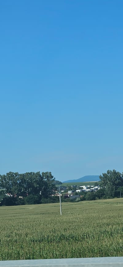 The image shows a rural landscape under a clear blue sky. In the foreground, a field of tall green crops, possibly corn, stretches across the frame. A slender, white pole stands vertically in the field, positioned slightly to the right of the center. In the middle ground, a cluster of buildings, appearing to be houses with white and darker roofs, forms a small village. Behind the village, a line of trees creates a natural border. Further in the distance, rolling green hills are visible, with a faint mountain range on the horizon. The overall scene depicts a peaceful, agricultural setting in the vicinity of Rozhanovce, Slovakia.