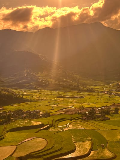 The image captures a panoramic high-angle view of the Tú Lệ valley in Vietnam, likely during sunrise or sunset, evidenced by the warm golden light and pronounced sun rays. The upper portion of the frame features a mountainous landscape with multiple ridges receding into the distance, appearing silhouetted against a luminous sky. The sky displays dramatic, backlit clouds in shades of golden orange and yellow, with distinct beams of light descending vertically into the valley.

The midground and foreground are dominated by extensive terraced rice fields, characteristic of the region. These terraces feature varying shades of green, with some paddies filled with water, creating reflective surfaces that catch the golden light. The patterns of the terraced fields are intricate and curvilinear, conforming to the contours of the landscape. Small clusters of traditional-style buildings or houses with dark roofs are scattered throughout the valley floor and nestled among the lower terraces, suggesting human habitation. Narrow, winding paths or roads are visible traversing the slopes between the terraces. Sparse trees are interspersed among the fields and near the settlements. No human figures are visible.