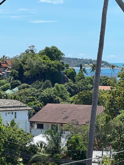 A high-angle, eye-level, long shot captures a residential area overlooking the sea in Baan Hua Thanon, Thailand. A large, textured palm tree trunk dominates the foreground, positioned slightly off-center to the right. Beyond the palm, a dense canopy of lush green trees obscures much of the landscape, with houses peeking through the foliage.
In the mid-ground, several houses are visible. A white house with dark trim is situated on the left, partially obscured by trees. To its right, a larger house with a brown tiled roof and a satellite dish is prominent. Further into the distance, more houses with tiled roofs are scattered across a green, hilly terrain.
The background features a wide expanse of the turquoise ocean meeting a clear blue sky. The coastline is dotted with more houses and vegetation, suggesting a developed yet verdant tropical environment. A distant, hazy island or peninsula can be seen on the horizon. In the sky, a small, bright pink object, possibly a balloon, is visible. The overall scene is bathed in bright daylight, indicative of a sunny day.