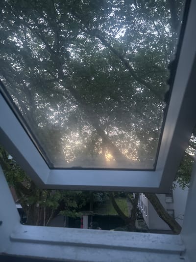 The image shows a view through an open skylight window, looking upwards towards trees and the sky. Sunlight filters through the dense green foliage, creating a dappled effect. The branches of the trees are visible, some crossing in front of the light. Below the skylight, the scene transitions to a view of a courtyard or garden area, with more trees, some buildings, and a trash receptacle. The overall impression is of an outdoor urban setting, likely residential, with a focus on the natural elements as seen from an elevated perspective. There are no people visible in the image. The scene appears to be captured during daylight hours, possibly late afternoon or early evening due to the angle of the sun. The location is described as being in the city of Gelsenkirchen, Germany.
