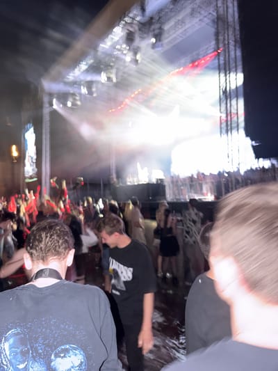 The image depicts a concert or festival at night, with bright stage lights illuminating a crowd of people. The foreground shows the backs of several individuals, their faces blurred due to motion or focus. One person in the center-left wears a black t-shirt with a graphic print featuring two portraits and a planet. To their right, another person in a black t-shirt with white text is visible. The background is dominated by a large stage structure with numerous lights, beams of light cutting through the darkness, and a red light element. A dense crowd is gathered in front of the stage, with many people raising their hands. The environment appears to be an outdoor venue. The location is Palilula Urban Municipality, Serbia.