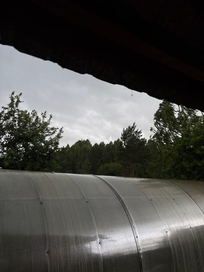 The image shows a view from under a dark overhang, likely a roof, looking out at a cloudy sky and a dense line of trees. In the foreground, the curved, translucent surface of a greenhouse or similar structure is visible, wet with rain and reflecting the overcast sky. There are no people or animals present in the scene. The overall impression is one of a somber, rainy day in a rural or semi-rural setting, consistent with the location of Дресвяново, Russia. The trees appear to be a mix of deciduous and coniferous species. The lighting is dim and diffused due to the cloud cover.