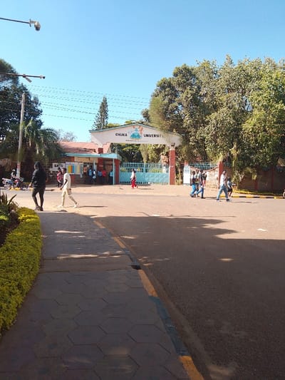 The image captures a vibrant, sunny daytime scene at the entrance of Chuka University. The main focal point is a large, light-colored archway serving as the university's main gate, with the words "CHUKA UNIVERSITY" prominently displayed in dark letters across its top. Below this, smaller text reads "Knowledge for Development". The archway is decorated with a colorful mural or logo on its left side, depicting a landscape with water and what appears to be a bird or animal.
The gate itself consists of blue metal bars, currently open, allowing passage. To the left of the archway, there's a smaller building with a reddish-brown roof, possibly a guardhouse or administrative office, and a sign that clearly reads "GATE" above an information board. Several people are gathered near this smaller building and around the gate area.
On the left side of the image, a paved sidewalk with hexagonal patterns runs along a neatly trimmed green hedge. Beyond the hedge and sidewalk, there's a dark-skinned person in a black long-sleeved shirt and black pants walking away from the gate, towards the foreground. Another person, lighter-skinned, in a light-colored top and pants, is walking across the road towards the gate. Further back, near the "GATE" sign, a few individuals are standing, some appearing to be queuing or waiting. A motorcycle is parked near the sidewalk on the far left.
The road in the foreground is asphalt, with a yellow line painted along its edge, separating it from the sidewalk. Several shadows of trees and people are cast across the road and sidewalk, indicating a bright sun overhead. On the right side of the road, a group of people is walking away from the gate, across the road, with some turning towards the gate. They are casually dressed.
The sky is clear and bright blue, suggesting good weather. Lush green trees are abundant on both sides of the entrance, particularly dense behind and to the right of the archway, providing a natural backdrop. On the far left, a light pole extends upwards, featuring what appears to be surveillance cameras. The overall impression is one of a busy university entrance on a clear, warm day.