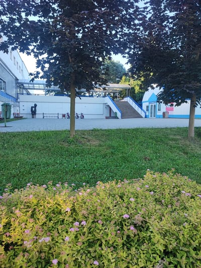 The image depicts an outdoor scene in front of a building with a blue and white facade. In the foreground, a lush green lawn transitions into a flowering bush with small pink blossoms and yellow-green foliage. Behind the lawn, a paved area features a sculpture of a person, several benches, a trash can, and three bicycles parked in a rack. A large tree with dark leaves stands prominently in the mid-ground.
The building itself has a modern, institutional appearance, with large windows and a covered walkway. A prominent set of stairs with blue railings leads up to an entrance. The sky above is clear, suggesting a daytime setting with fair weather. The overall impression is one of a public space, possibly a school, community center, or recreational facility.
Visible text on the building appears to be in Czech. One sign above the entrance reads "VSTUP VOŇAVÉ BAZE", which translates to "ENTRANCE TO THE FRAGRANT BASE". Another sign, possibly an advertisement or information board, is visible on the right side of the building. The scene appears peaceful and orderly. The time of day is likely late afternoon or early evening, given the quality of the light.