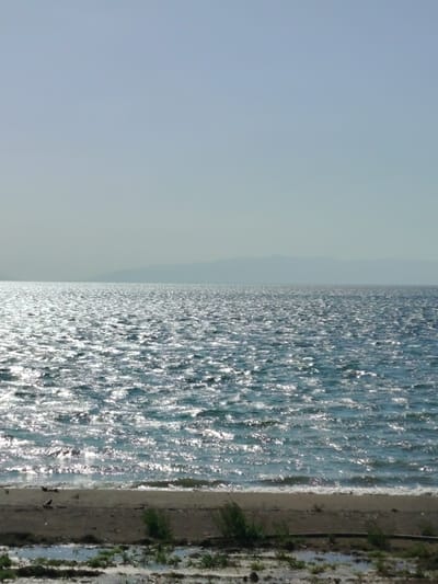 The image captures a wide, serene landscape dominated by a large body of water, likely Lake Iznik in Turkey, under a bright, hazy sky. The water fills the majority of the frame, stretching from the foreground to the distant horizon.

The surface of the water is intensely illuminated by sunlight, creating a dazzling, shimmering effect across countless small ripples and waves. The light reflects as bright, silvery-white streaks and patches, contrasting with the deeper blue-green hues of the water. Small waves gently break along the sandy and somewhat muddy shoreline in the foreground.

In the background, a faint, hazy line of distant mountains or hills is visible, blending with the pale blue-grey sky. The horizon where the water meets the distant landmass is slightly obscured by atmospheric haze. The sky above is a uniform, light blue-grey, indicating clear weather.

The immediate foreground consists of a narrow strip of sandy and muddy ground. Patches of green vegetation, possibly reeds or grasses, grow sparsely along this strip. Some puddles or wet areas are visible on the muddy ground near the waterline. A few dark, indistinct objects, possibly small birds or debris, are present on the shore in the lower left portion of the image.

The scene depicts a calm daytime setting with strong sunlight. There are no human figures or visible text. The overall impression is one of peaceful natural beauty and vastness.