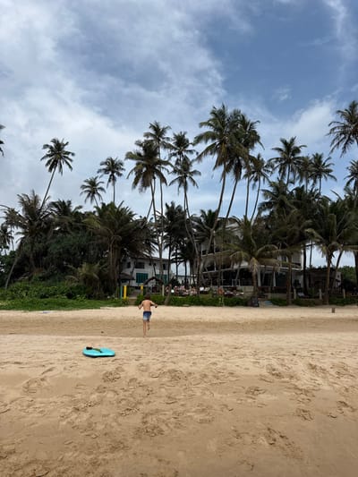 A beach scene featuring palm trees, a sandy shore, and a partly cloudy sky. A building with outdoor seating is visible among the trees. A person walks on the beach near a blue surfboard. The sand texture is detailed with footprints. The scene is bright and captures a tropical beach atmosphere.