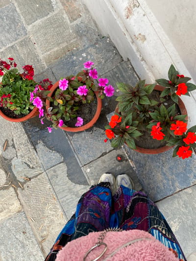 The image shows a person's legs and feet standing on a tiled pathway. The pathway is made of large, grey, rectangular tiles. To the left of the pathway are three terracotta pots containing flowers. The first pot, closest to the top left, contains red geraniums. The second pot contains pink impatiens. The third pot, to the right of the pink impatiens, contains red impatiens. The pathway is wet in places, suggesting it may have recently rained or been watered. The wall of a building, made of white plaster that is peeling in places, is visible to the right of the pathway and pots. The person is wearing colorful, patchwork pants and white sneakers. A portion of a pink furry bag is visible in the foreground. The scene appears to be outdoors. The presence of the specific flower varieties and the style of architecture are consistent with urban gardens found in Kathmandu Metropolitan City, Nepal.