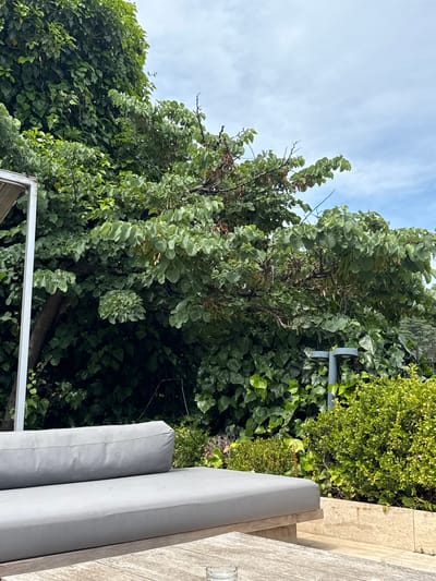 The image shows a close-up of a modern outdoor seating area in Beşiktaş, Turkey. In the foreground, a grey upholstered sofa is positioned on a wooden deck. Behind the sofa, lush green foliage dominates the scene, with dense ivy covering a wall or fence and a large tree with broad leaves and some dried seed pods. A white metal frame, possibly part of an awning or pergola, is visible on the left side of the sofa. In the middle ground, a grey metal lamp post with a modern design emerges from the greenery. The background reveals a bright, cloudy sky. The overall impression is one of a tranquil, verdant outdoor space, likely a garden or patio.