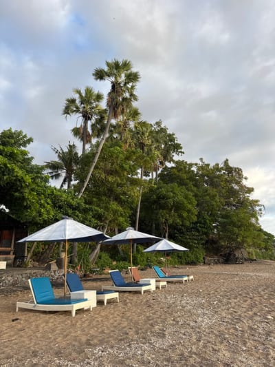 The image shows a serene beach scene with several lounge chairs and umbrellas set up on the sandy shore. Palm trees and lush green foliage line the background, suggesting a tropical location. The sky is partly cloudy, indicating it might be early morning or late afternoon. The environment appears tranquil and inviting, typical of a resort or a quiet coastal area. The specific location is the beach in Abang, Indonesia, known for its beautiful coastlines and natural scenery.