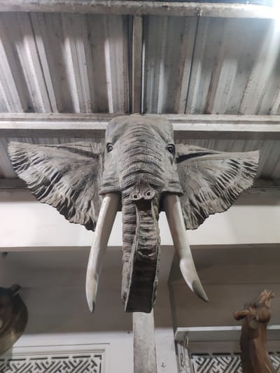An eye-level indoor shot depicts a sculpted, life-size elephant head mounted on a wall or support structure, likely in a shop or gallery. The sculpture is rendered in a grayish-brown color, possibly carved from wood or similar material, with prominent ears spread wide, curving ivory tusks, and detailed texture mimicking elephant skin.
The elephant head is centrally positioned, suspended from a corrugated metal ceiling framed by a support structure of metal or wood beams. The background includes partial views of other animal sculptures: a dark, round object to the left, possibly another animal head, and a brown, giraffe-like sculpture to the right. These are set against a light-colored wall featuring a geometric, patterned design.
The scene is lit by ambient light. The overall impression suggests a location selling sculpted animal art, potentially in Ubud, Indonesia given the prevalence of such art in that region.