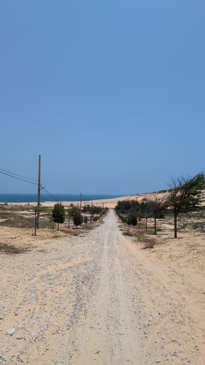 A ground-level, landscape-style photograph depicts a gravel road running parallel to the coastline. The scene is likely located near Phuoc Dinh, Vietnam. A clear blue sky dominates the left side of the frame. The ocean is visible as a blue stripe between the sky and the road. The road itself consists of sand and gravel, with tire tracks running along its length. The right side of the frame shows the landscape bordering the road, which is covered in sand, small rocks, and sparse vegetation. Trees and shrubs line the road, and utility poles with power lines are present. The lighting suggests a sunny day.