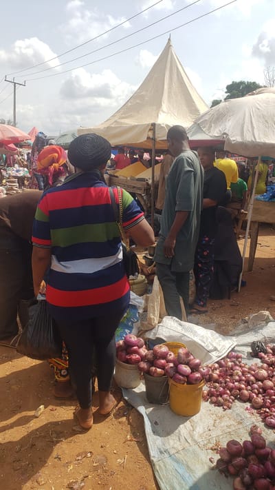 This media file captures a bustling outdoor market scene in Kakuri Gwari, Nigeria. The image is oriented vertically, with the sky and a large white tent dominating the upper portion. The tent appears to be providing shade for market stalls. In the foreground, a person wearing a striped shirt and dark pants is seen from the back, facing away from the camera. Their feet are visible, wearing brown sandals.

To the right of the foreground subject, a large pile of red onions is spread out on a white tarp. Some onions are spilling out of yellow and grey buckets. The ground is a reddish-brown, typical of dusty earth. Further into the market, other individuals are visible, some interacting at stalls, and others in the background appearing to be shoppers or vendors. One person in the mid-ground is wearing a green traditional outfit. Another individual wears a bright yellow headscarf. A dark-colored abaya is also visible.

The scene suggests a daytime setting, with the bright sky and shadows indicating the sun is out, possibly late morning or early afternoon. The overall atmosphere appears busy and lively, characteristic of a local marketplace. There are no clearly discernible emotions conveyed due to the angle and focus of the people. While there are hints of text on some fabrics or bags in the background, none are legible enough to be deciphered. The presence of a power pole with lines in the background suggests the market is in a settled area, not remote.