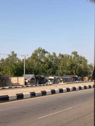 A street scene in Kporva, Nigeria, shows a road with a concrete median painted with alternating black and white blocks. Beyond the median, a low wall made of concrete blocks is visible, topped with barbed wire. Behind the wall, a row of small structures with corrugated metal roofs and wooden frames lines the street. Numerous tall, leafy trees form a dense green backdrop behind the structures. A telephone pole with wires stands near the left side of the image. The sky is clear and pale blue. The overall impression is of a roadside area with informal businesses or residences adjacent to a paved road.
