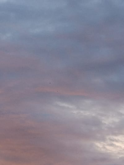 The image shows a sky with clouds at dusk. Two small birds are visible in flight. The sky transitions from shades of blue and grey at the top to muted pink and purple hues near the bottom. The clouds are textured and diffuse. The scene is photographed from a low angle, looking upwards. This image does not contain any identifiable landmarks or context related to Pankrushikha, Russia.