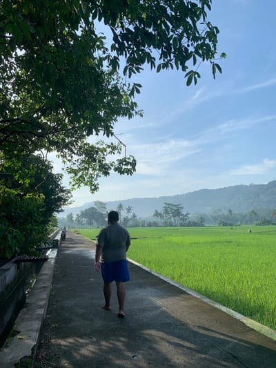 A man walks alone on a paved path next to a rice paddy field in Kecamatan Piyungan, Indonesia (latitude: -7.828, longitude: 110.484). The path is bordered by a low concrete wall and a ditch. The man wears a gray t-shirt and blue shorts and is walking towards a line of trees in the distance. The rice paddy field is a bright green and extends to a line of trees and hills in the distance. The sky is blue with a few white clouds. A large tree obscures the view to the left of the frame. The man is the only person visible in the scene.
