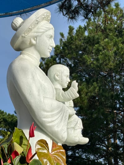 This is a medium-shot, eye-level, outdoor, full-color photograph of a white marble statue of a woman in traditional Vietnamese attire holding a child. The statue is made of white marble with subtle veining and a smooth finish. The woman wears a conical hat with intricate carvings and a high-necked robe. She cradles a baby in her left arm. The baby is looking towards the right, with its right hand raised. In the foreground, a cluster of red anthurium flowers with glossy green leaves adds a splash of color. The background consists of a bright blue sky and lush green pine trees. The lighting suggests it is daytime, with sunlight illuminating the statue and casting some shadows. The scene appears to be in a garden or park setting. The statue is located in Tuý Sơn, Vietnam.