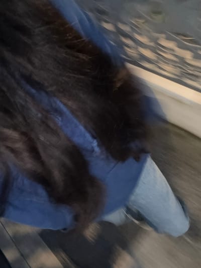 The image presents a close-up, motion-blurred scene situated in Albi, France. The primary subject is a mass of long, dark brown, wavy hair, cascading from the upper left across the central frame. Beneath the hair, a blue garment is visible, likely a jacket or top. To the lower right, a lighter blue fabric, consistent with denim, appears, suggesting a lower body part or leg. The background elements are significantly indistinct due to motion blur: in the upper right, a light-colored, patterned surface is discernible, possibly a railing or textured wall, separated by a thin white horizontal line. The lower portion of the frame displays a dark, textured surface, consistent with ground or flooring, exhibiting faint reflections. The overall blur indicates movement at the time of capture. No other individuals or specific objects are clearly identifiable.