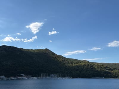 The image captures a panoramic view of a tranquil bay in Banići, Croatia. The foreground is dominated by the calm, deep blue water of the Adriatic Sea, gently rippling under a clear sky. Along the shoreline, a charming village of white-washed houses with red-tiled roofs is nestled at the foot of a verdant, densely forested hill. A multitude of sailboats and yachts are moored in the harbor, their masts forming a delicate, intricate pattern against the backdrop of the natural landscape. The sunlit slopes of the hill cast shadows over parts of the village and the water, indicating the time of day is likely late afternoon. The sky above is a vibrant blue, dotted with a few wispy white clouds. The overall scene conveys a sense of peace and natural beauty, characteristic of a coastal Mediterranean town.
