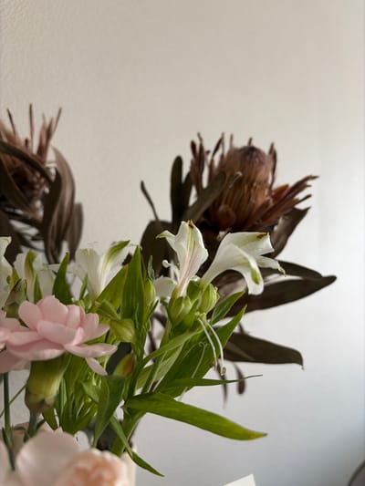 The scene depicts a close-up view of a floral arrangement located indoors within the city of Yanino-1, Russia. The arrangement consists of a variety of cut flowers and foliage presented against a plain, light-colored wall. In the background, two large, dried or preserved protea flowers are visible, out of focus, exhibiting brown-to-mauve coloration with dark, leathery leaves. In the mid-ground and foreground, a collection of fresh flowers is arranged. Specifically, multiple white alstroemeria flowers and buds with green stems and leaves are prominent. Some alstroemeria petals display minor browning at their tips. Towards the lower left, at least two light pink carnation-type flowers are partially visible. Green foliage and additional buds are interspersed throughout the arrangement. No people are present, and no active interactions or actions are depicted. The lighting is soft and even, suggesting an indoor ambient light source.