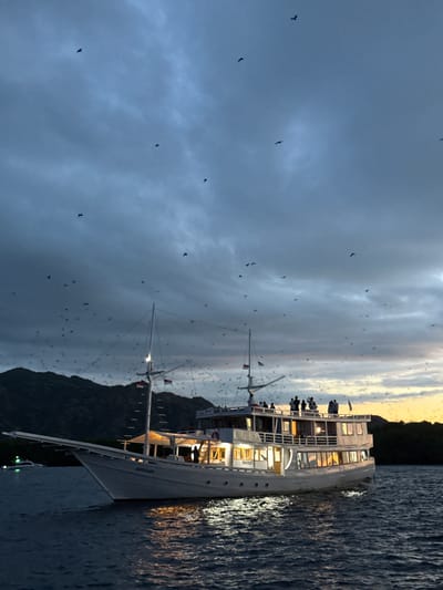 The image shows a multi-level boat with several people visible on its decks, illuminated by interior lights. The boat is sailing near a dark, mountainous shoreline. A large number of birds are scattered across the sky, which transitions from a dark, cloudy blue to a lighter, sunset-like color. The boat is labeled "AISYARA". The location is Rinca Village, Indonesia.