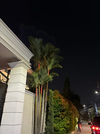 This is a vertical, nighttime photo taken in Tangerang, Indonesia. The scene appears to be outdoors, possibly on a balcony or elevated walkway, looking out over a street and a lush, green bush. A large palm tree with fronds blurred by motion dominates the left side of the frame, suggesting wind or camera movement.
In the background, the street is visible with streetlights and the tail lights of a car, indicating it's dark. A portion of a black vehicle with red tail lights is in the upper right corner. The overall mood is somewhat indistinct due to the low light and motion blur, but the illuminated street and car lights suggest a degree of urban activity.
The foreground features a white, modern-looking architectural element with clean lines and a segmented design, possibly part of a building or a railing. The ground below the white structure appears wet, hinting at recent rain or humidity. The presence of dense greenery, a palm tree, and tropical-looking bushes are consistent with a Southeast Asian location like Indonesia. There is no visible text in the image.