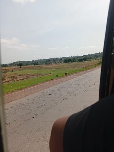The image shows a view from inside a vehicle, looking out at a rural landscape. A cracked asphalt road runs diagonally from the foreground towards the middle ground. To the left of the road, there are cultivated fields with rows of plants, transitioning to green grass. Further in the distance, a solitary tree stands in a field, and beyond that, a line of trees forms the horizon. The sky is bright with scattered clouds. The lower right portion of the image shows a person wearing a black shirt, partially obscuring the view. The location is identified as Rinjim Gani, Nigeria.