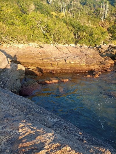 The image captures a rocky shoreline with vegetation in Armação dos Búzios, Brazil. The foreground features large, gray rocks partially submerged in clear, blue water, reflecting sunlight. A prominent, layered rock formation rises behind these, with an orange-brown hue in its lower section where it meets the water. Dense green vegetation, including what appear to be cacti, covers the land behind the rock formation. The light suggests either sunrise or sunset, casting shadows and highlighting textures. The scene depicts a natural, coastal environment with sunlight playing across the rocks and water.