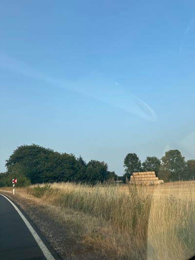 The image captures a rural roadside scene near Körperich, Germany, on a clear day. A paved road with a white line marking curves to the left. Beside the road, dry, tall grass grows along a ditch. Further back, a field of harvested crops is visible, with a large stack of cylindrical hay bales arranged in a pyramid formation. Behind the field, a line of dense green trees forms a backdrop, with a few scattered trees in the foreground. A red and white directional road sign is placed near the road's edge. The sky is a pale blue with a few faint clouds or atmospheric phenomena. There are no people or animals visible in the image.