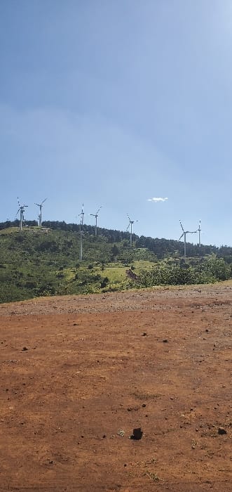 The image displays an expansive outdoor scene in Ewuaso Oonkidong'i ward, Kenya, under clear daylight conditions. The foreground consists of a relatively flat, reddish-brown dirt or soil expanse, marked by small stones and sparse, dry green vegetation. In the midground and background, a series of green, undulating hills or mountains are visible, densely covered with trees and shrubs. Approximately eight white wind turbines are prominently erected on these hills. Each turbine features three white blades, with a distinctive black marking near the tip of each blade. The blades of most turbines appear static or in a slow rotation. The upper portion of the image is dominated by a bright, clear blue sky, with a single small, wispy white cloud present on the right side. No individuals or discernible activities are observed within the frame.