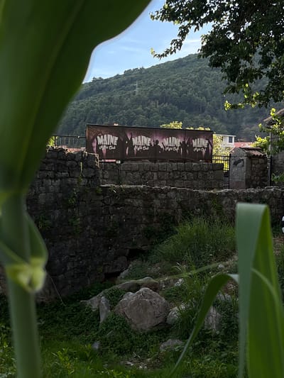 In Podostrog, Montenegro, a billboard advertising "MAINE Night Club" is prominently displayed behind a low, weathered stone wall. The billboard features the word "MAINE" in large, stylized letters, repeated four times, with silhouettes of people dancing or celebrating below each instance. The background of the billboard is dark, with pink and purple accents. The stone wall is constructed from irregular, dark gray stones and is partially overgrown with green vegetation. Beyond the wall and billboard, a densely forested hillside rises under a clear blue sky. The foreground of the image is blurred with large green leaves, likely from a plant, partially obscuring the view. The overall scene appears to be an outdoor setting, possibly on the outskirts of a town or village, given the contrast between the man-made advertisement and the natural, hilly environment.
