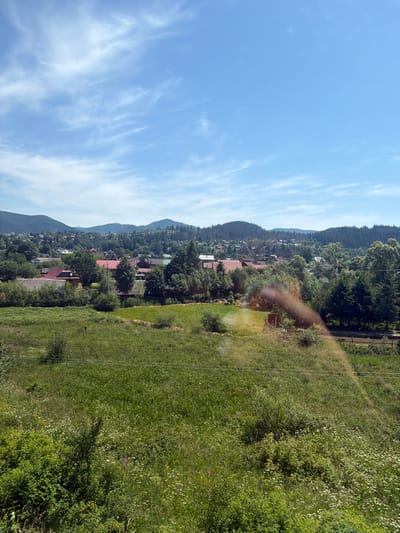 A wide-angle shot captures a rural landscape in Mykulychyn, Ukraine, under a bright, partly cloudy sky. In the foreground, a verdant meadow slopes upwards, dotted with wildflowers and lush green grass. A few bare tree branches are visible, as are some power lines crossing the field. In the middle ground, a collection of houses with red and grey roofs forms a small village, nestled amongst dense green trees. Behind the village, a range of rolling, tree-covered hills stretches across the horizon. The overall impression is one of a serene, natural setting.