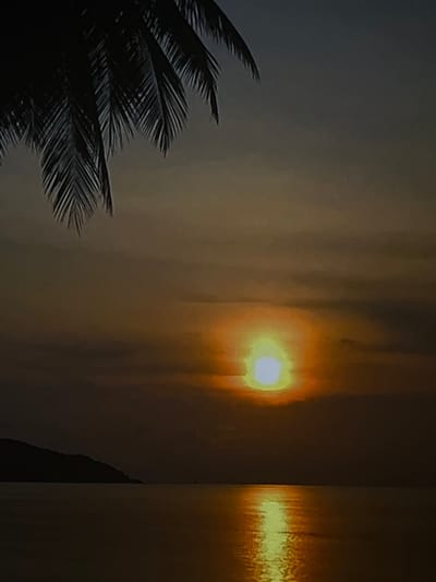 The image captures a scene with a palm tree in the foreground, silhouetted against a backdrop of what appears to be a sunset or sunrise. The sky is a mix of colors, with a bright, golden glow emanating from the sun. The right side of the image has a vertical band of light reflecting, potentially on water or a glossy surface. Given the presence of a palm tree, this could be a coastal setting. Without additional contextual information, it is not possible to definitively confirm the location in Mogán, Spain, but the scene is consistent with coastal views found in the area.