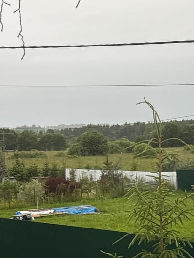 The media file is a photograph, taken vertically, with the horizon running along the right side of the frame. The scene is an outdoor setting, likely rural, given the presence of greenery and a distant treeline. In the foreground on the left, a dark wire runs vertically, with a string of small lights attached to it. Behind this, a lush green landscape unfolds. A dense forest or treeline stretches across the middle ground, with varied shades of green indicating different types of foliage and perhaps varying distances.

On the right side of the image, several man-made objects are visible. There are at least two structures with white, corrugated metal siding, suggesting sheds or outbuildings. A pile of what appears to be wood and other materials is covered by a bright blue tarp. A dark green surface, possibly a fence or wall, occupies the far right edge of the frame. A branch with green needles, possibly from a conifer, extends from the top right corner into the frame. The sky is overcast and a pale gray, suggesting a cloudy or potentially rainy day. The overall impression is one of a somewhat utilitarian, perhaps slightly cluttered, rural environment on a somber day. There is no visible text in the image.