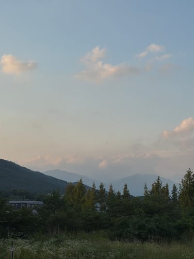 This media file depicts a serene landscape scene with a focus on natural elements. The sky is a pale blue with scattered clouds, tinged with hints of pink and orange, suggesting it might be late afternoon or early evening. In the background, several layers of mountains recede into the distance, their forms softened by atmospheric haze.
The foreground is dominated by lush green trees and foliage. On the right side of the image, a grassy area with small white wildflowers is visible. Partially obscured by trees and foliage in the middle ground, a dark-colored building with multiple windows is situated on a hillside. The windows appear to be arranged in a grid-like pattern, with some having white frames. There is no visible activity or people in the scene, contributing to a sense of tranquility and stillness. The overall impression is one of natural beauty and peacefulness, possibly captured in the countryside of Pocheon-si, South Korea. No text is discernible in the image.