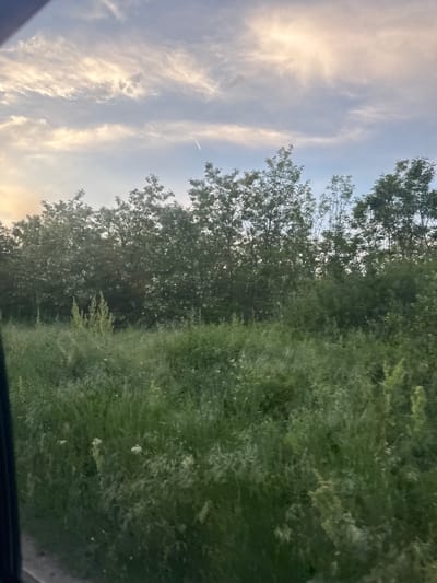 The image shows a landscape scene taken from what appears to be inside a vehicle. The focus is on the sky with scattered clouds, bordering a field of dense green vegetation to the right. A line of trees separates the sky from the field. There are no people visible. The photograph appears to be taken during daylight. There is no specific information linking this image to the city of Gromshin, Bulgaria; that would be an unsupported inference.