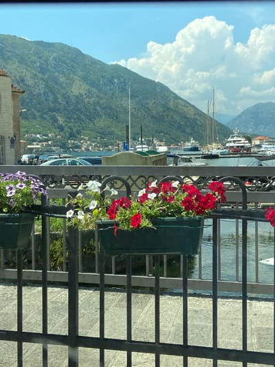The image captures a scenic view of the bay in Dobrota, Montenegro. In the foreground, a black metal railing with ornate scrollwork separates the viewer from a walkway paved with stone tiles. Two green planters overflow with vibrant petunias, one with purple and white blooms and the other with red and white flowers. Beyond the railing, the calm waters of the bay reflect the clear blue sky, dotted with fluffy white clouds. Several boats, including yachts and sailboats, are moored in the harbor. In the background, a lush green mountain rises steeply, with a scattering of houses built on its lower slopes. The overall impression is one of a picturesque coastal town bathed in the warm light of a sunny day.