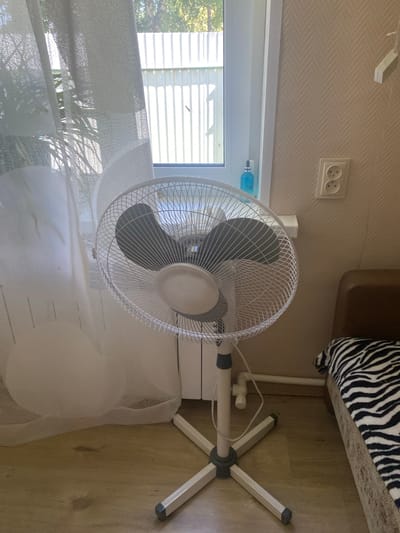 A white standing fan is positioned on a light brown wooden floor. The fan has a circular grate and dark blades, and is elevated on a white stand with a four-legged base. To the left of the fan, sheer white curtains hang, partially obscuring a window that looks out onto a fence and trees. A small blue bottle is visible on the windowsill. To the right of the fan, a wall with a textured beige wallpaper is visible, with a double electrical outlet mounted on it. A bed with a black and white zebra-striped blanket is partially visible in the lower right corner of the image. The scene appears to be an indoor setting, possibly a bedroom or living area. The lighting suggests it is daytime, with sunlight coming through the window. The location is described as Афанасьево, Russia.