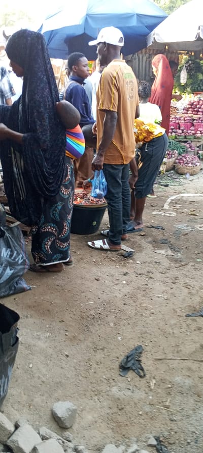 This image depicts an active outdoor market scene in Nassarawa, Nigeria. The ground is an uneven dirt surface, littered with small rocks and black plastic debris. Overhead, a large blue umbrella and a partial white umbrella provide shade.
In the left foreground, a person in a plaid shirt is partially visible. Central to the frame, a female wearing a dark, patterned dress and a dark head covering carries an infant on her back, secured by a colorful, multi-striped fabric wrap. She wears sandals. Adjacent to her, a male wearing a white baseball cap, a brown polo shirt with "13 JAMAICA" on the back, and dark jeans stands holding a light blue plastic bag containing an unidentified light-colored item. He wears white and brown open-toed sandals. A dark-colored tub filled with small, reddish-brown produce is positioned on the ground between these two individuals.
Behind the central male, a young male in a dark blue shirt is visible. To the right, another female, dressed in a yellow and brown patterned top and dark trousers, is bending over, appearing to inspect produce at a stall. Further right, a female in a long, reddish-brown garment and head covering stands near market stalls heavily laden with produce, including large quantities of red onions displayed in woven baskets and various green leafy vegetables. Indistinct figures and additional market activity are visible in the background.