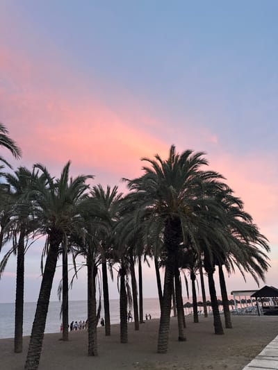 This is a low-angle, full shot of a beach at dusk in Torremolinos, Spain. The sky is a gradient of soft pinks and purples, transitioning to a pale blue at the top. A line of palm trees with dark green fronds dominates the foreground, casting shadows on the sandy beach. Several people are visible in the background, scattered along the shoreline. To the right, there are beach chairs, umbrellas, and a covered seating area. The sea is calm and stretches to the horizon.