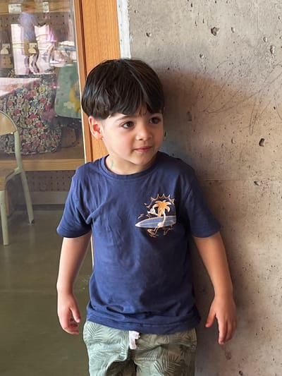 A young boy with dark hair and brown eyes stands leaning against a concrete wall. He is wearing a navy blue t-shirt with a graphic print of a palm tree on a surfboard and light green patterned shorts. The background to the left shows a wooden door and a display case with various items, including a colorful floral fabric. The overall setting appears to be indoors, possibly in a public space or a home. The image does not provide any information that would allow for its localization to the city of La Fouillouse, France.