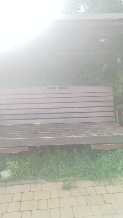 The image shows a park bench located near a brick-paved area in Khmilnyk, Ukraine. The bench is made of dark brown wood slats. Grass and weeds are growing along the side of the bench near the brick path. Part of the background is obscured by fog or mist.
