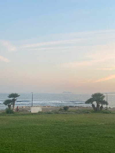 The image depicts a seaside scene in Estepona, Spain, with a bright, hazy sky transitioning from pale blue to soft yellow and pink hues, suggesting either sunrise or sunset. The ocean is visible with moderate waves breaking near the shore. A grassy area occupies the foreground and extends towards the right of the frame. Along the edge of the water, a line of rocks and a concrete barrier are present. Two palm trees are dotted along the coastline, one taller and more prominent in the mid-ground, and another smaller one in the foreground. In the distance, faint outlines of landmasses can be seen across the water. The lighting is soft, indicating a diffused light source, and the overall atmosphere feels calm and serene. A couple of indistinct figures can be seen near the foreground palm tree, relaxing on the grass. There is a street lamp visible near the mid-ground palm tree. The image appears to be taken with a mobile phone camera, evidenced by the slight tilt and the aspect ratio.